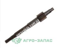 Вал коробки передач (первичный) 4250125044 Fortschritt - назва Вал коробки передач (первичный) 4250125044 Fortschritt - фото